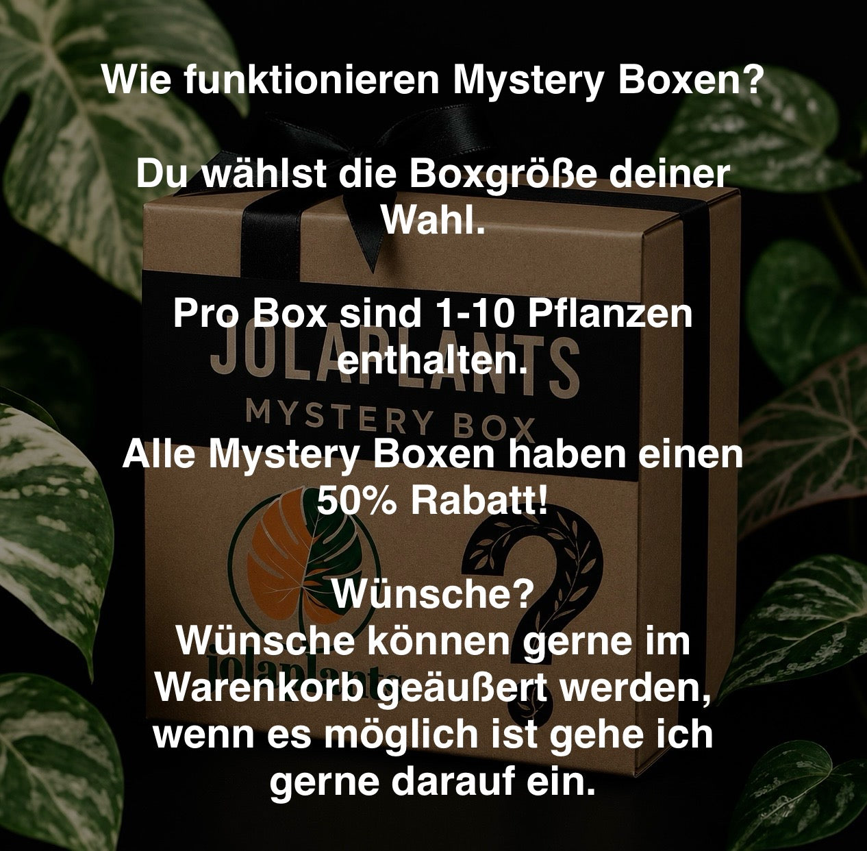 Jolaplants Mystery Box
