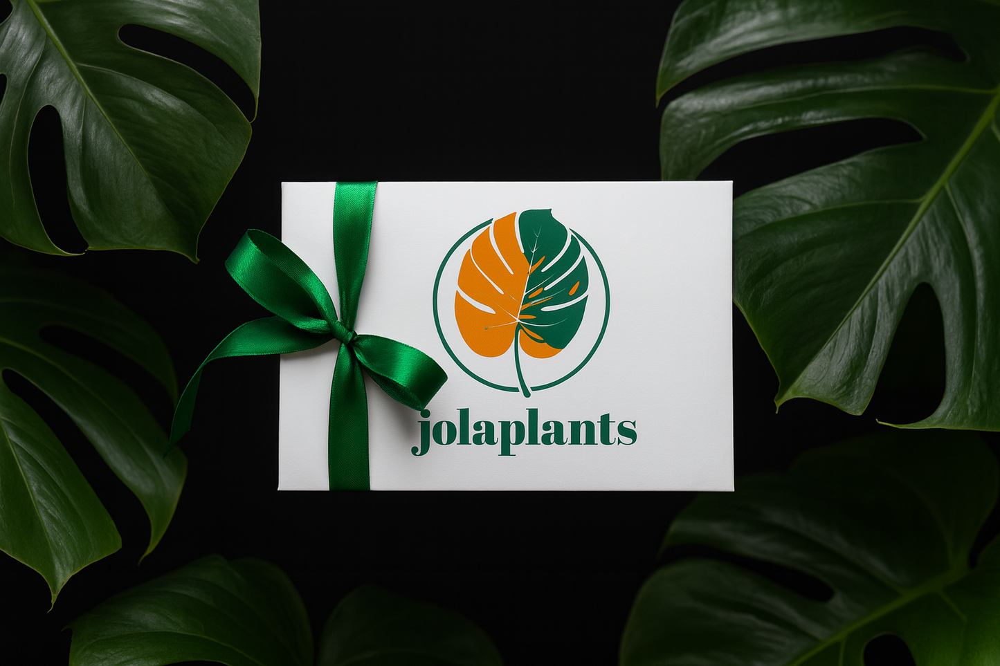 Jolaplants Gutschein